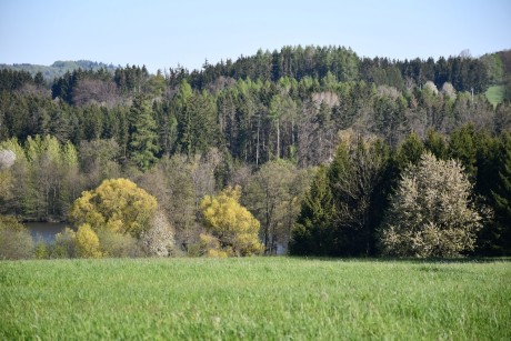 Jaro15