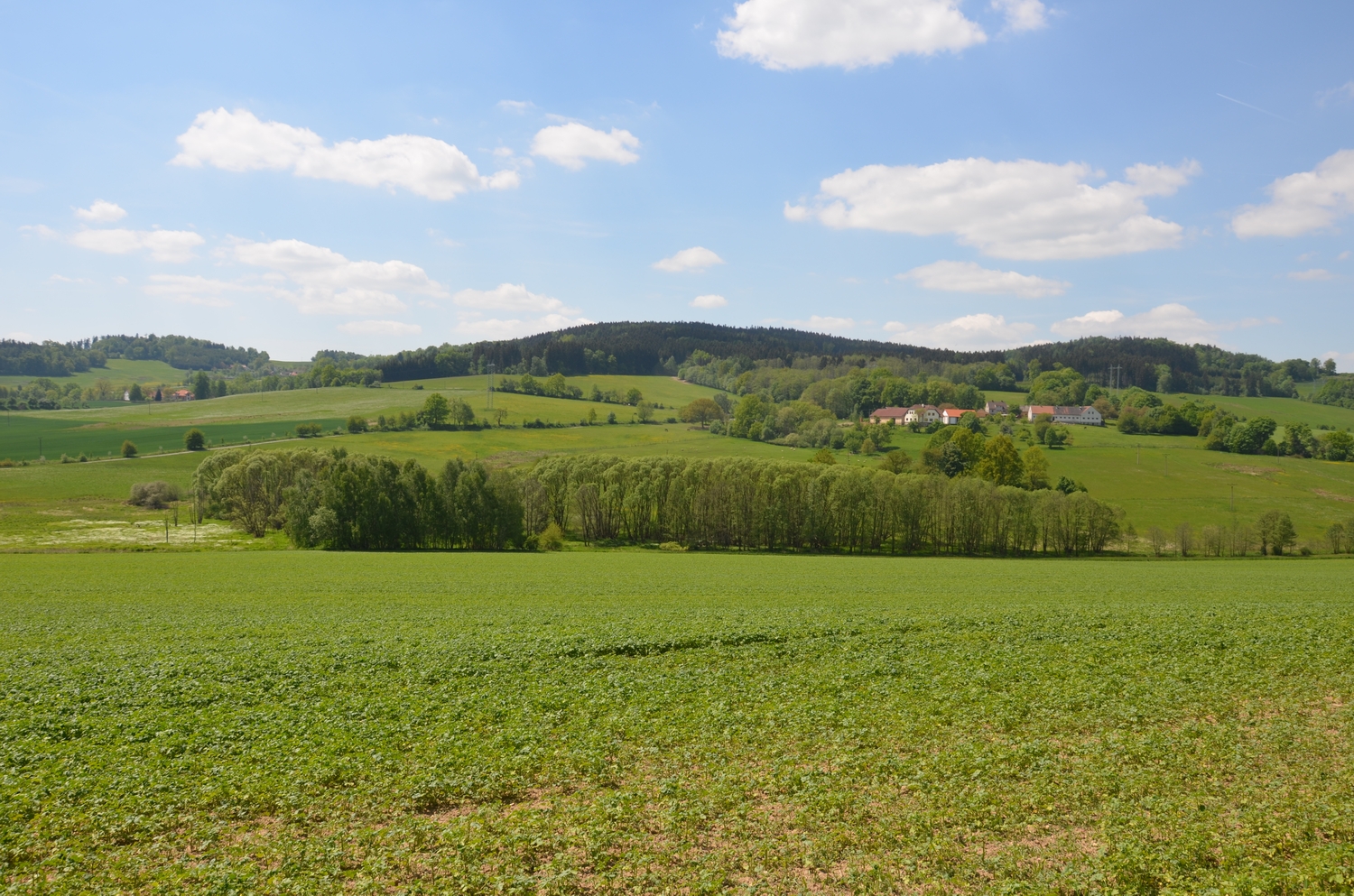 Borotínsko