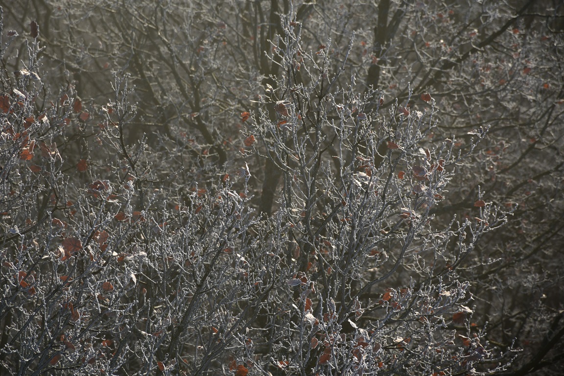 109