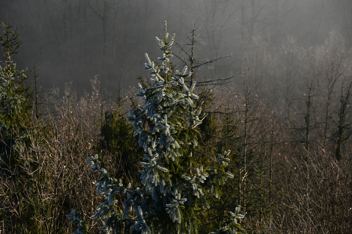 111